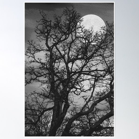 369 Prints Shadow Of The Moon- No Framed, Vintage Wall Art, Trendy Retro Print, Room Decor, Wall Art UNFRAMED, 16x24