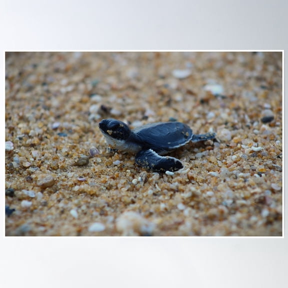 369 Prints Tiny Trailblazer- No Framed, Vintage Wall Art, Trendy Retro Print, Room Decor, Wall Art UNFRAMED, 12x18