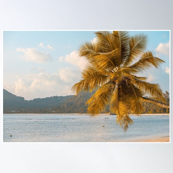 369 Prints Tropical Beach At Mahe Island Seychelles- No Framed, Vintage Wall Art, Trendy Retro Print, Room Decor, Wall Art, Poster Only