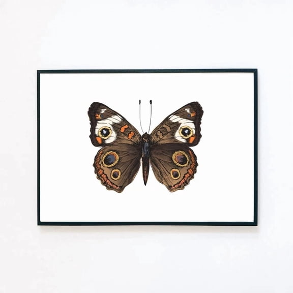 369 Prints Vintage Butterfly Moth Illustration Tattoo Design- No Framed, Vintage Wall Art, Trendy Retro Print, Room Decor, Wall Art UNFRAMED, 8x12