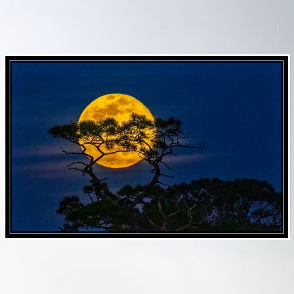 369 Prints Wolf Moon Of 2021- No Framed, Vintage Wall Art, Trendy Retro Print, Room Decor, Wall Art UNFRAMED, 16x24