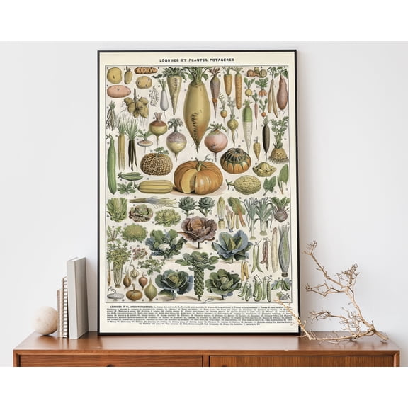 369 Prints vintage Vegetable Poster, Kitchen Wall Art, Antique Food Illustration, Botanical Home Decor UNFRAMED, 8x12