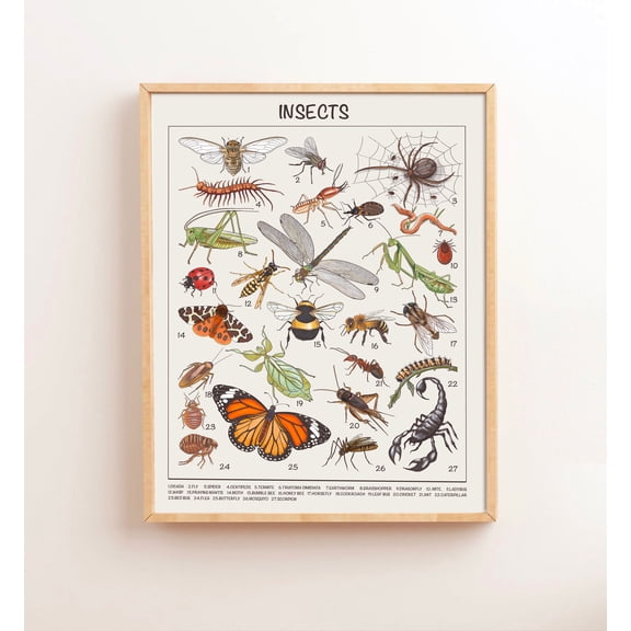 369 Prints insects Educational Posters Classroom Posters Montessori Decor Homeschool Preschool Learning Prints UNFRAMED, 24x36