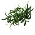 thumbnail image 1 of 36Inch Faux Olive Leaves Stems,Artificial Olive Tree Branches,Fake Plants,Greenery Stems,Eucalyptus Stems,Green Leaves for Centerpieces Decoration,Home Decor,Coffee Table Decor, 1 of 3