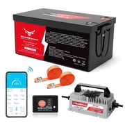 36V 100Ah LiFePO4 Lithium Battery 200A BMS,NewtiPower 10000+ Deep Cycle Lithium Iron Phosphate Battery Great for Golf Cart, RV, Marine and Off Grid Applications