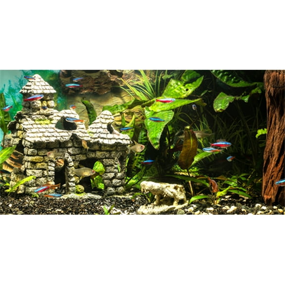 36X20IN, Aquarium Background, River Bed & Lake Aquatic Plant Fish Tank Background, with 8 EVA Double-Sided Tape