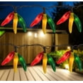 thumbnail image 1 of Northlight 36ct Chili Pepper Clustered String Lights - Brown Wire, 1 of 6