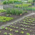 thumbnail image 1 of 36inx100ft Hardware Cloth 1/2" Welded Wire Galvanized Mesh Fence Roll, 1 of 7