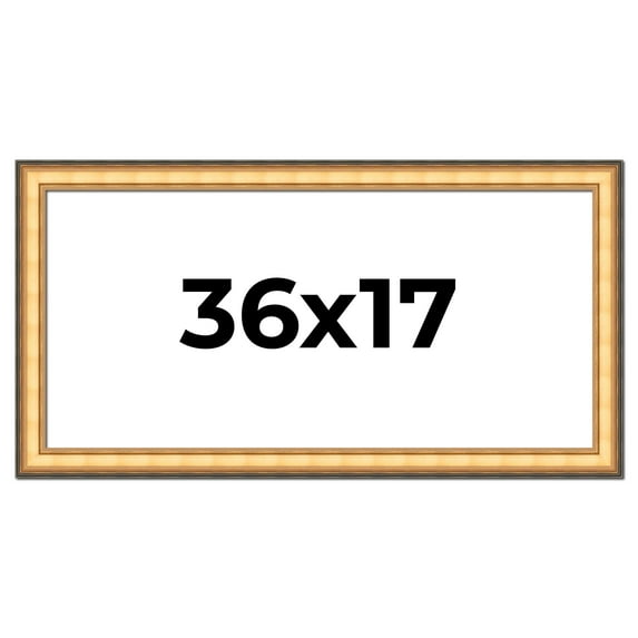 36x17 Frame Gold Plein Aire Solid Wood Picture Frame Width 2 Inches | Interior Frame Depth 0.5