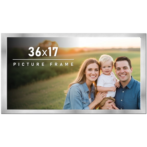 36x17 Frame Silver Stainless Steel Solid Wood Picture Frame | 0.75 Inch Moulding Width | Includes