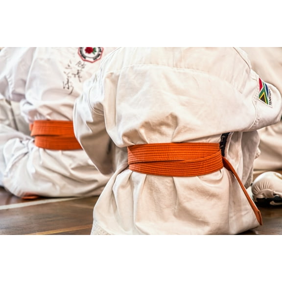 36x24 in Photographic Print Poster Karate Martial arts Sport Belt Competition Defense