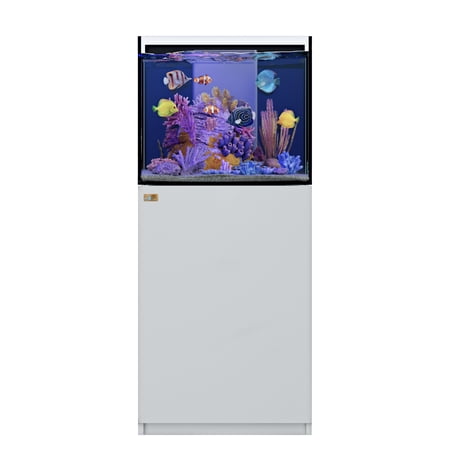 37 Gallon Coral Reef Aquarium Fish Tank Ultra Clear Glass with Built-in Sump