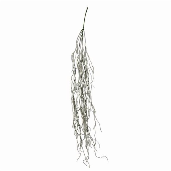 37 in. Grey Trailing Succulent Bush
