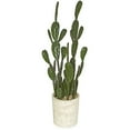 thumbnail image 1 of 37 in. Potted Cactus - Green, 1 of 1