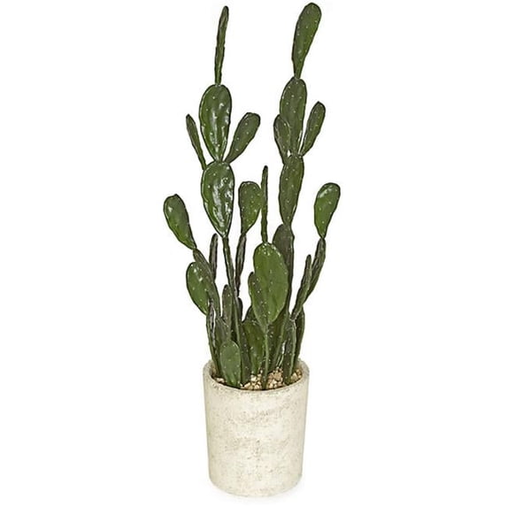 37 in. Potted Cactus - Green