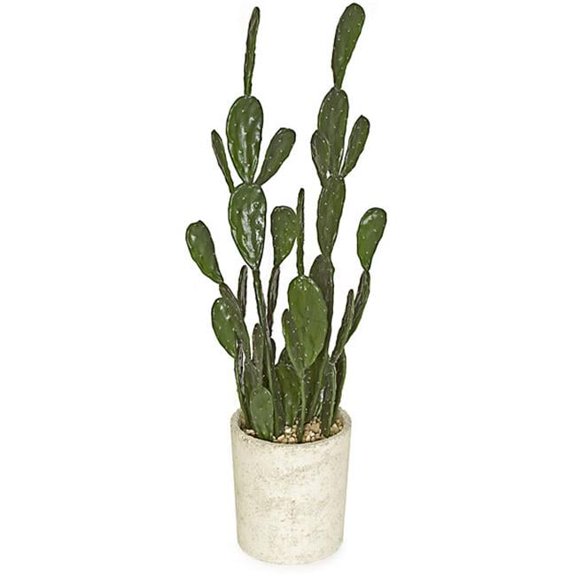 37 in. Potted Cactus - Green