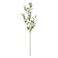 thumbnail image 1 of 37-inch Artificial Silk Green Olive Long Stem, for Indoor Use, by Mainstays, 1 of 8