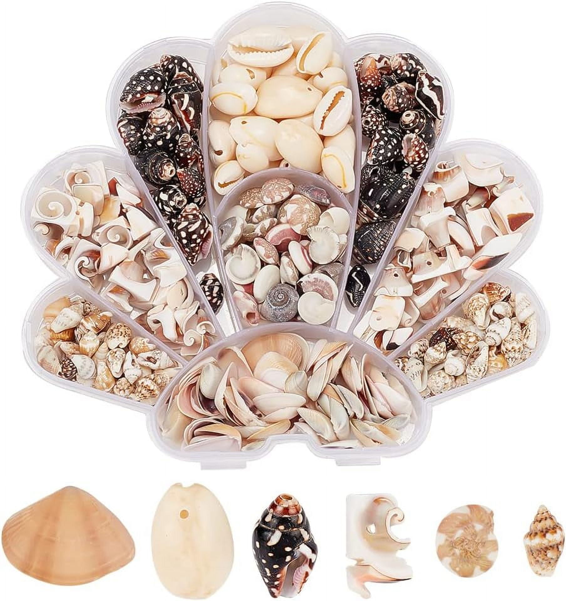 370pcs Natural Spiral Shell Beads 5-16mm 6 Styles Small Seashells Ocean Spiral Seashells