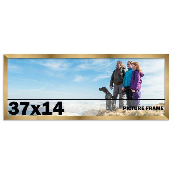 37x14 Frame Gold Bronze Modern Solid Wood Picture Frame | 0.75 Inch Moulding Width | Includes UV