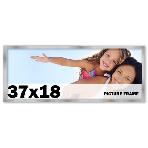 37x18 Frame Silver Stainless Steel Solid Wood Picture Frame | 0.75 Inch Moulding Width | Includes