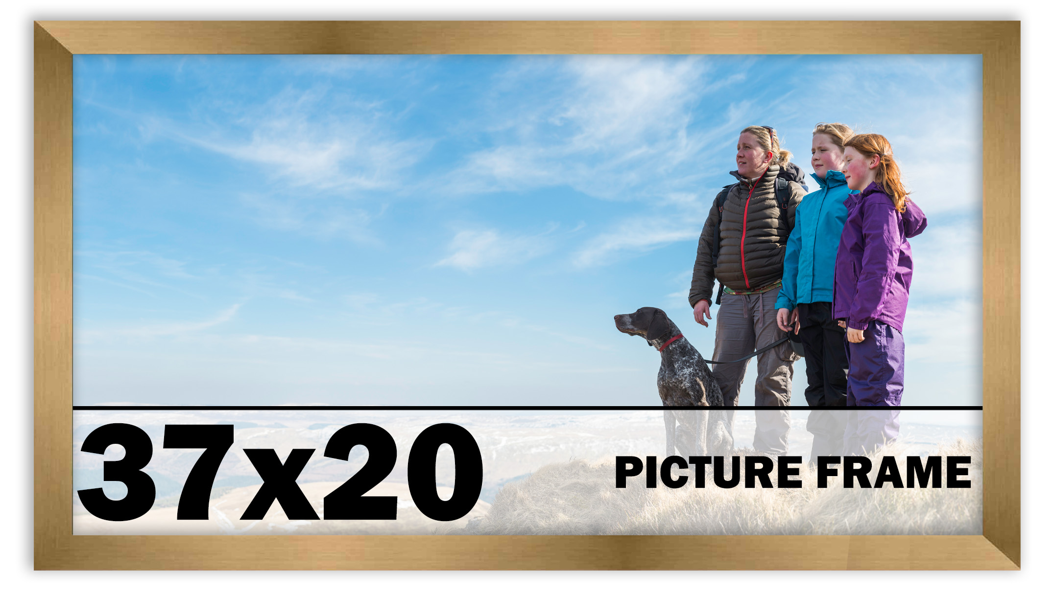 37x20 Frame Gold Bronze Modern Solid Wood Picture Frame | 0.75 Inch ...