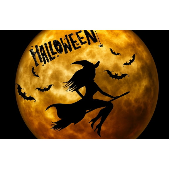 37x24in Laminated Photographic Print Poster Halloween The witch Weird Surreal Atmosphere Bat