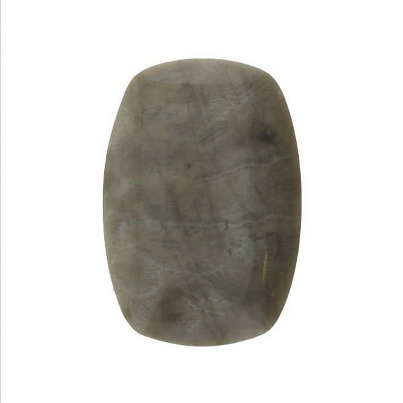 37x26mm Petoskey Stone Fossil