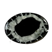 Khushi Gems Natural Black Septarian Fossil Oval Cabochon Loose Gemstone, 38.20 Ct