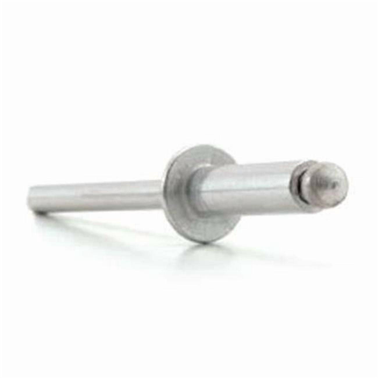 Altimis Rivets 38 Aluminum Rivets - Package of 1 - Walmart.com