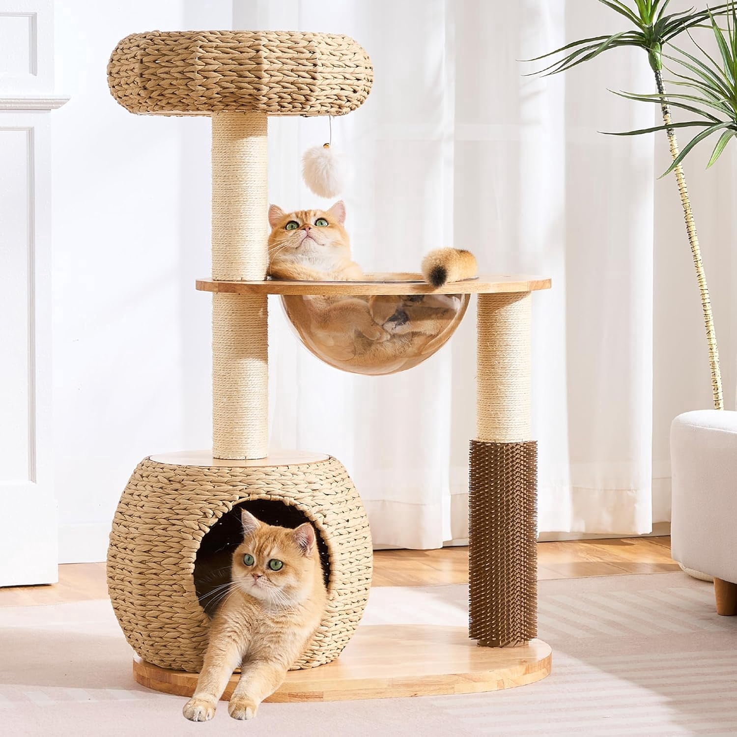 38" Modern Cat Tree Tower for Indoor Cats, Solid Wood Cat Furniture with Handwoven Rattan Basket Bed & Cave, Capsule Nest, Sisal Scratching Posts and Self-Groomer, Space-Saving Cat Condo