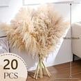 thumbnail image 1 of 38'' Tall Artificial Pampas Grass - 20 Stems Large Fluffy Faux Plumes for Tall Floor Vase, Minimalist Boho Home Decor for Living Room & Bedroom, Mess-Free Dried Flower Alternative, 1 of 9