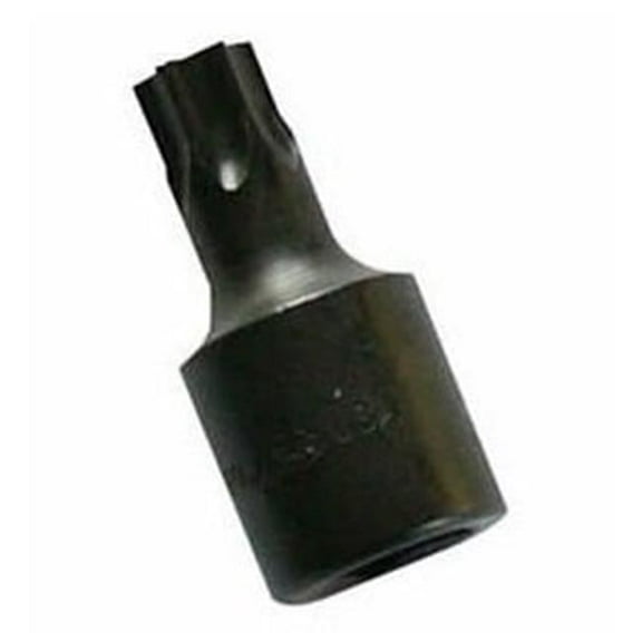 38 in. Drive Tamper-Proof Bit T50