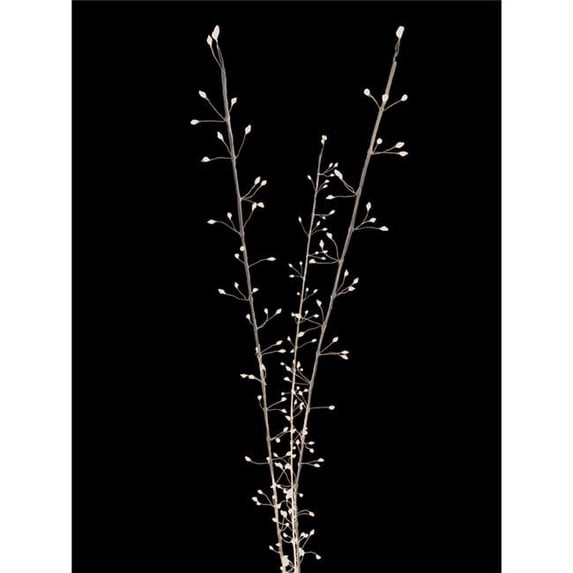 38 in. LED Warm White Lighted Branches Accessory