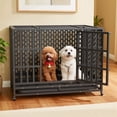 thumbnail image 1 of TIME RAY 42'' Heavy Duty Dog Crate,Large Metal Escape Proof Dog Cage Kennel,Indestructible Dog crate for Outdoor and Indoor with Lock, Double Door & Removable Tray, 1 of 7