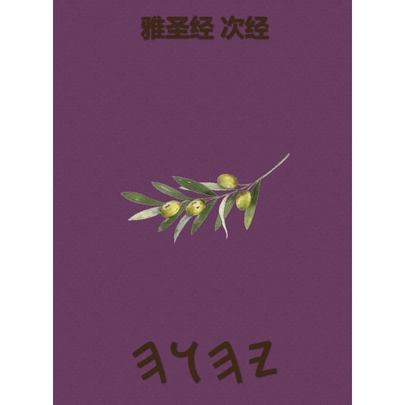 雅圣经 次经, (Hardcover)