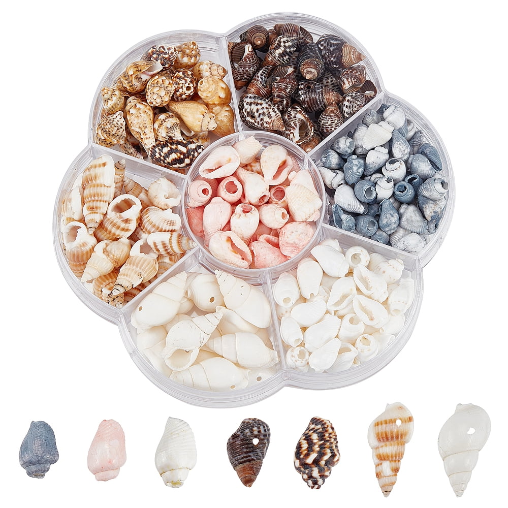 38g Natural Spiral Shell Beads Ocean Spiral Seashells Center Drilled ...