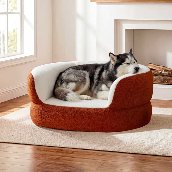 Dog Chair