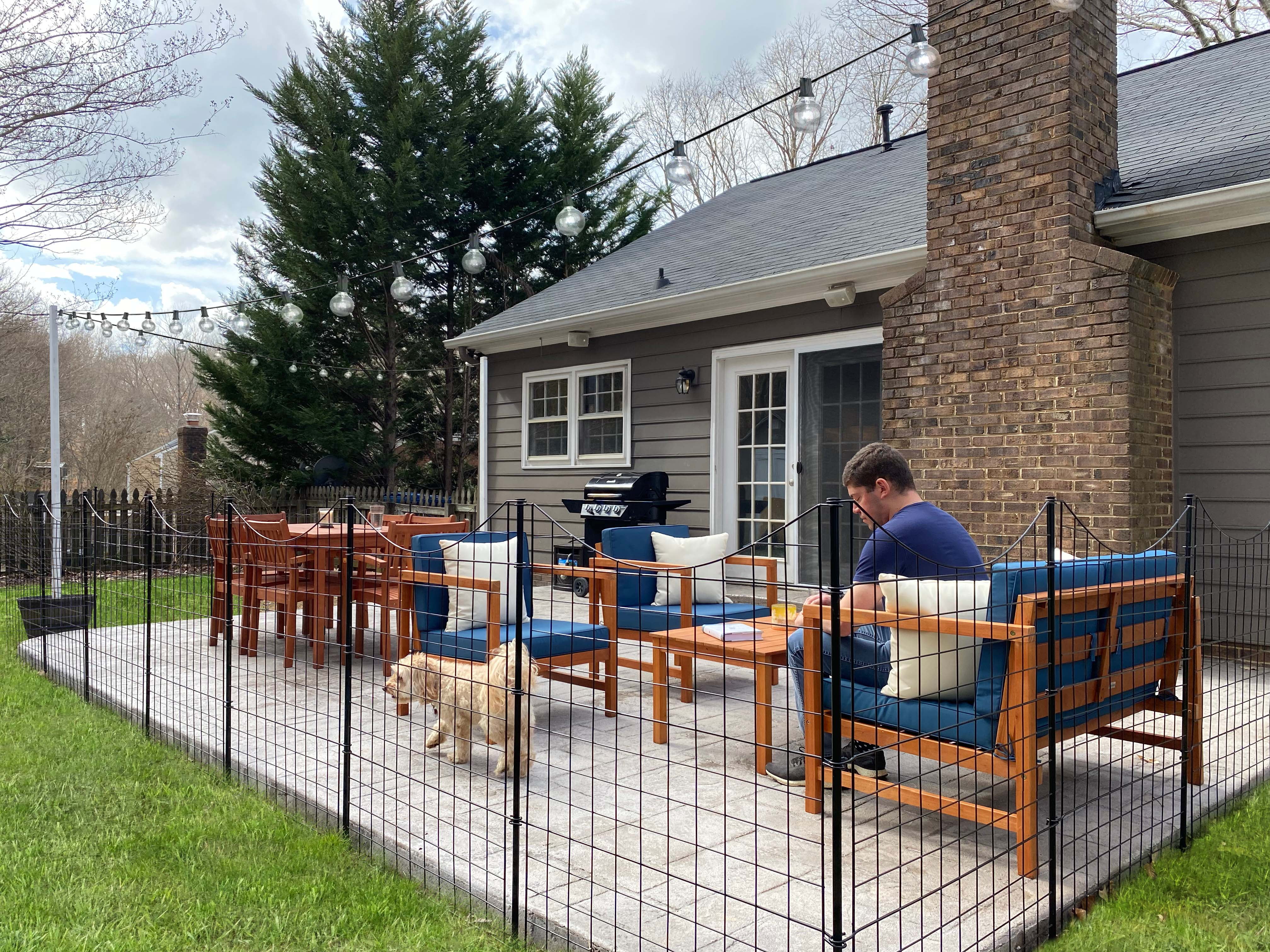 Zippity Outdoor Products Black Metal No Dig Garden Fence, Decorative Yard & Dog Fence Panels, 39" x 36" Rustproof Metal, 5 Panels