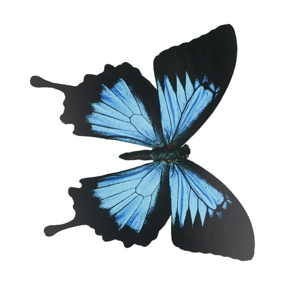 3D 26cm Large Size Colorful Butterfly Wall Stickers for Garden Home Decoration
