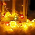3D Acorn String Lights Indoor, 10 feet 30 LEDs 8 Modes with Remote Fall