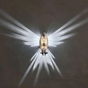 3D Animal LED Wall Night Light, Home Decoration Carving Lamp, Bald Eagle Light Battery Operated for Bedroom, Living Room, Stairway, Hallway, Kitchen Vulture
