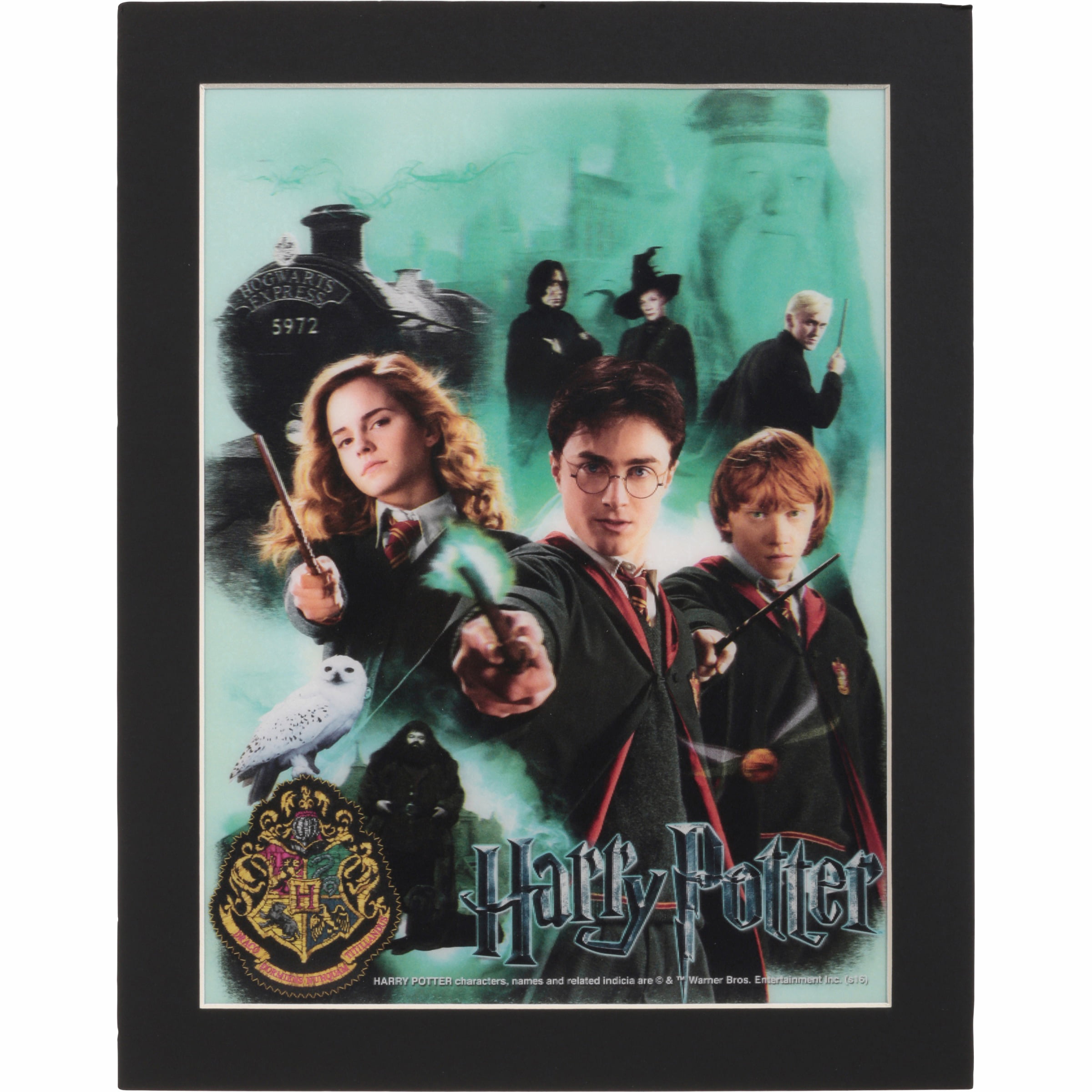 Poster Harry Potter - poster-decoracion-diseñoBOGART
