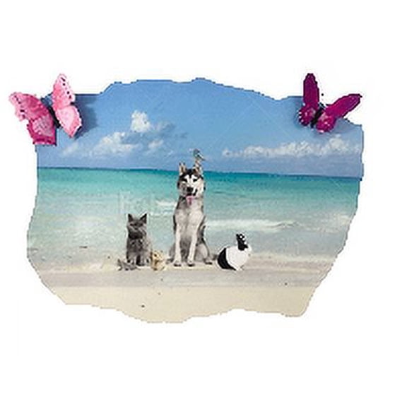 3D Bedroom Wall Decal Sticker For Unisex Custom Designs With 3D Butterfly Group Of Pretty Animals With 3D Butterflies - Easily Applied And Removable - Size: 26 In X 24 In