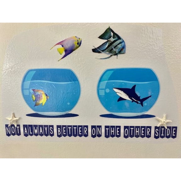 3D Bedroom Wall Decal Sticker For Unisex Custom Designs With 3D Starfish Inspirational Quote With Cute 3D Star Fishes - Not Better On Other Side Easily Applied And Removable - Size: 26 In X 24 In