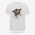 thumbnail image 1 of 3D Cat Print Men's T-Shirt Short Sleeve, 1 of 4