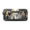 thumbnail image 1 of 3D Custom Maine Coon Bros Windshield Sunshade Universal Fit Cars Suv Truck, 1 of 5