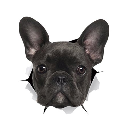 3D Dog Crack Sticker PVC Plastic Sticker Car Window Decal Laptop Funny Decals A