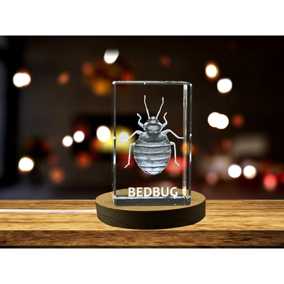 3D Engraved Crystal Bed Bug Figurine - Creepy Crawler Decor Piece