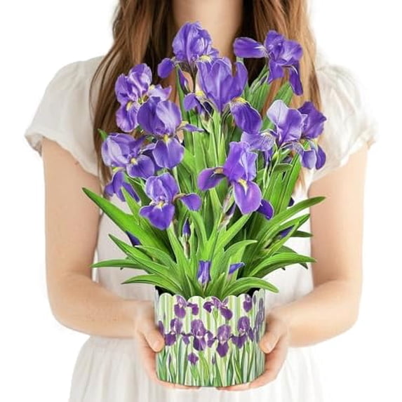 3D Greeting Cards Pop Up Cards 16" Iris Paper Flower Bouquet Gifts for Women Mom Wife Birthday, Anniversary, Get Well with Note Card & Envelope, Romantic Iris