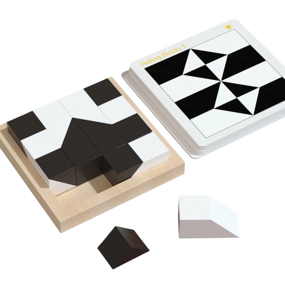 3D Hidden Blocks Puzzle with 16 ABS Pieces(Black)